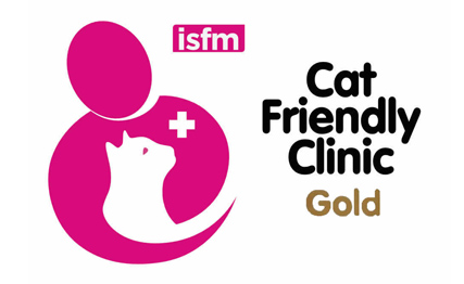 Cat Friendly