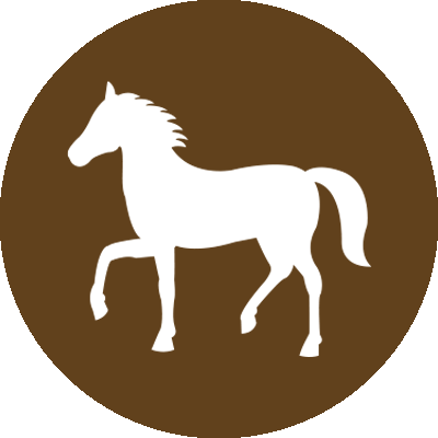 Equine